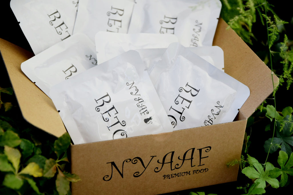 NYAAF　ポーク フィーレペースト（猫用）